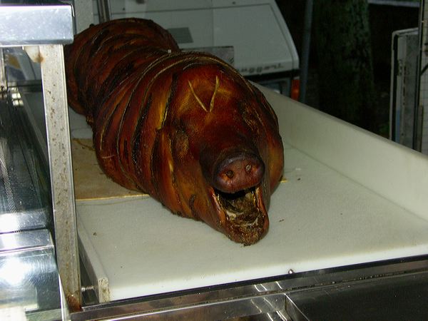 pict3239.jpg