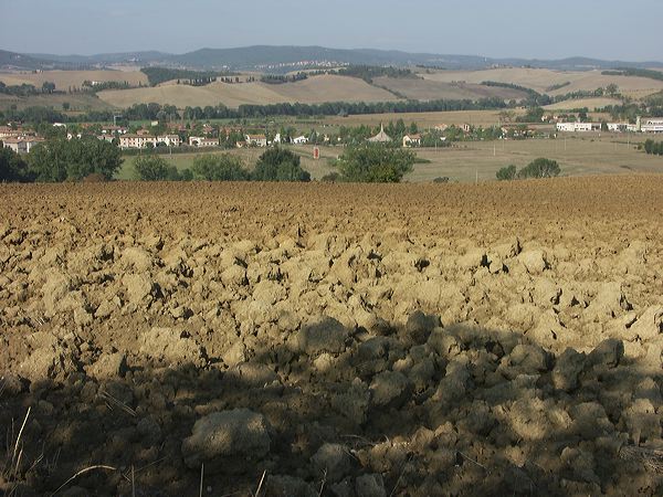 pict3361.jpg