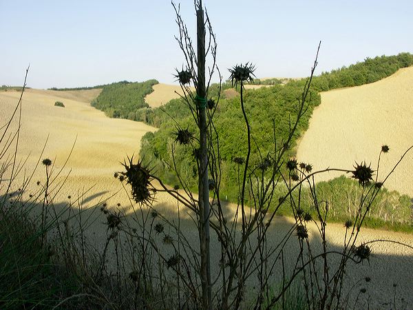 pict3448.jpg