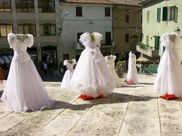 pict3511.jpg