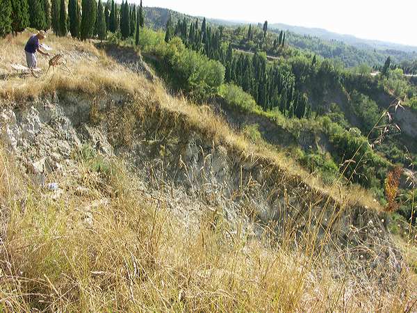 pict3545.jpg
