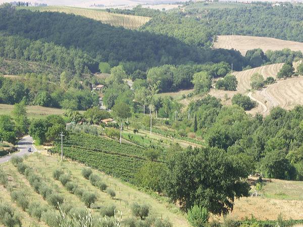 pict3624.jpg