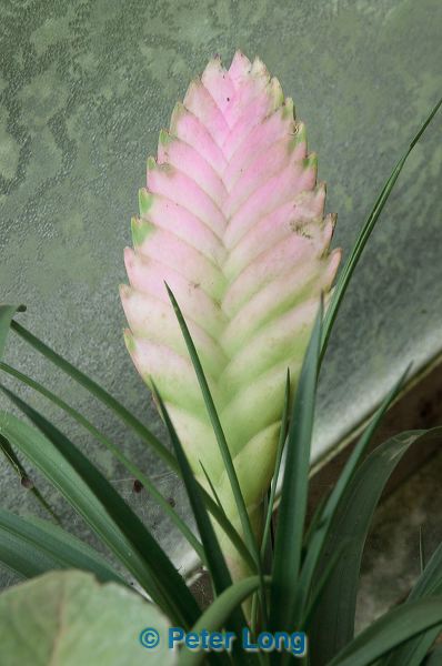 dsc_1928.jpg
