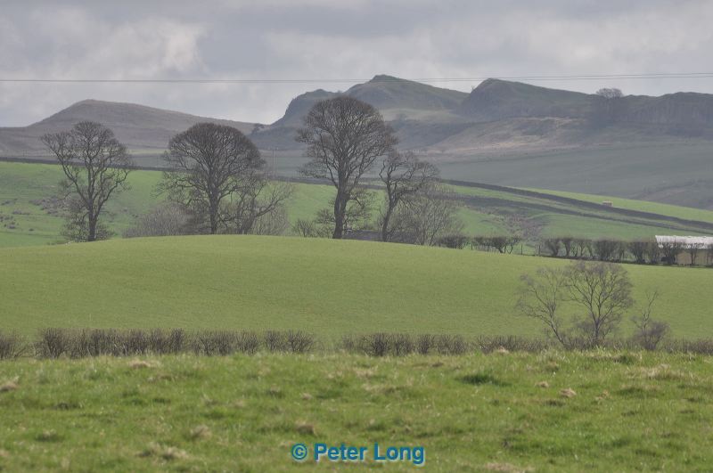 dsc_5520.jpg