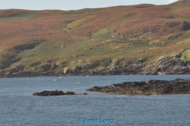 dsc_0235.jpg