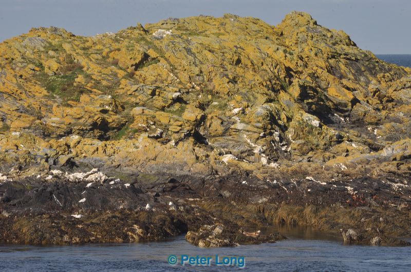 dsc_0237.jpg