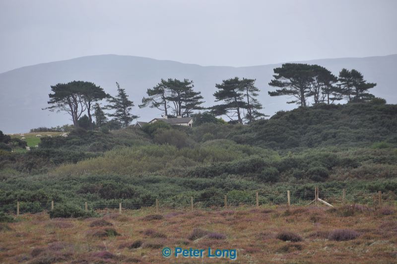 dsc_0844.jpg