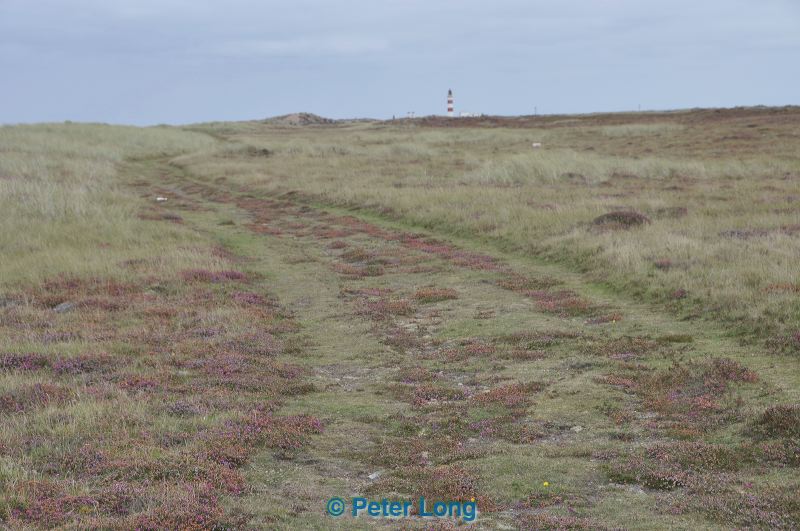 dsc_0875.jpg