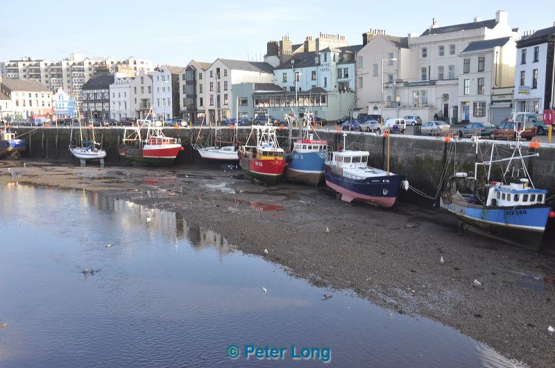 dsc_0973.jpg