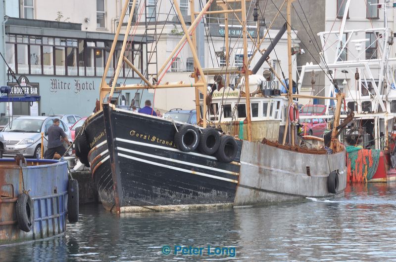 dsc_1008.jpg