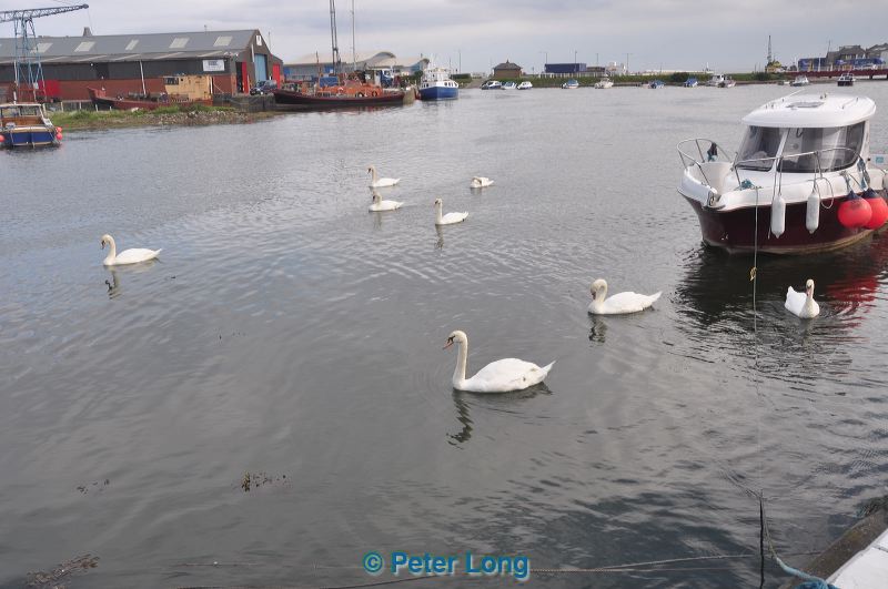 dsc_1014.jpg