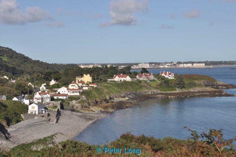 dsc_1093.jpg