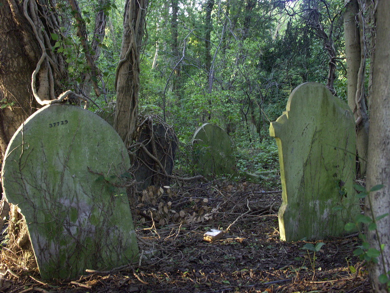 pict9400.jpg