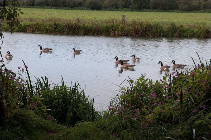 dsc_1069.jpg