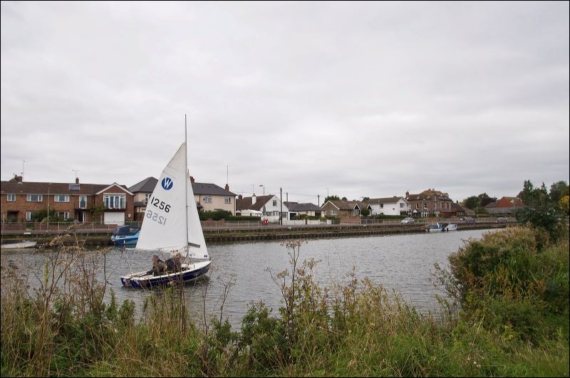 dsc_1174.jpg