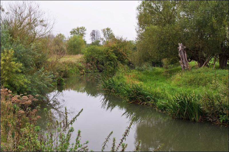 dsc_1466.jpg