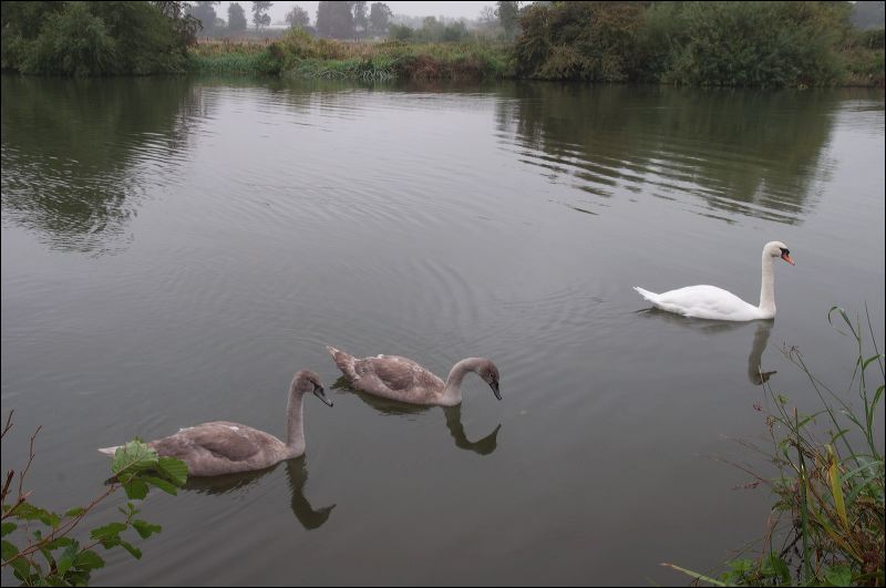 dsc_1564.jpg