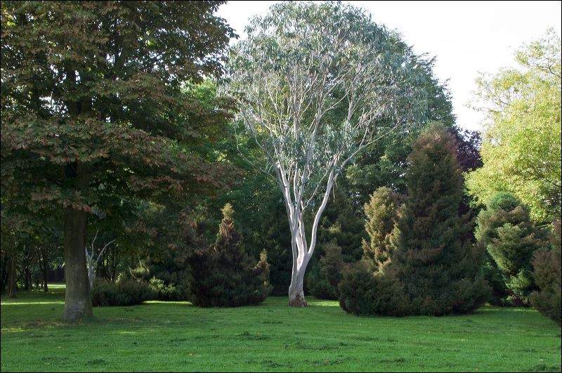 dsc_0297.jpg