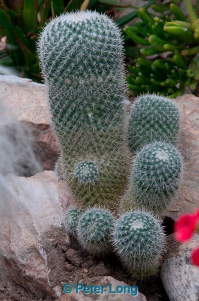dsc_1562.jpg