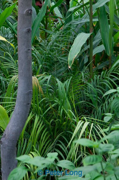 dsc_1326.jpg