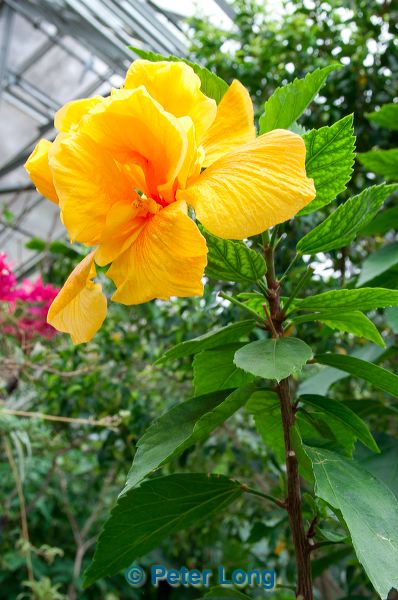 dsc_1384.jpg