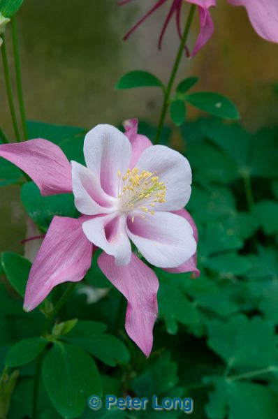 dsc_1389.jpg