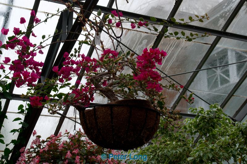 dsc_1655.jpg