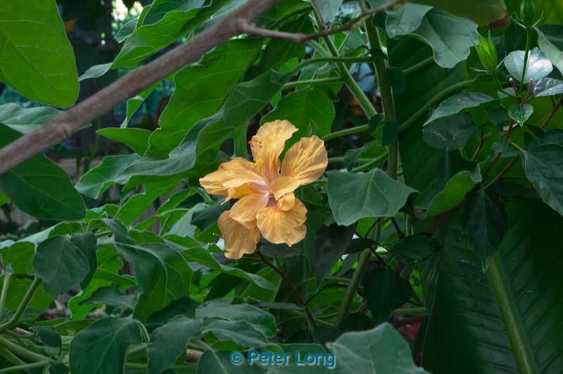 dsc_2723.jpg