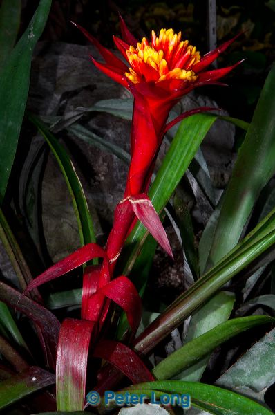 dsc_5734.jpg