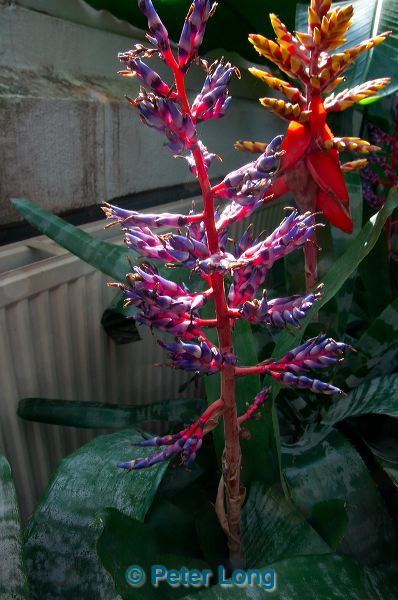 dsc_4969.jpg