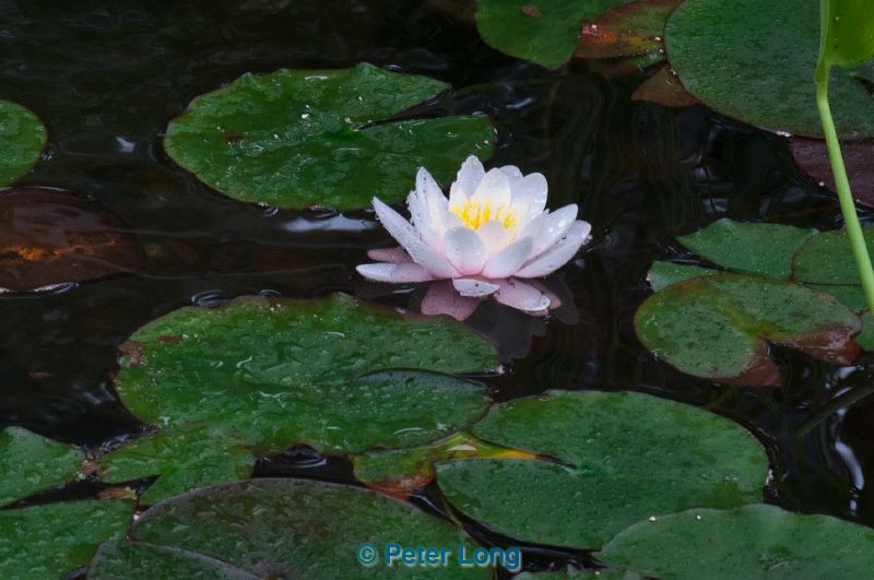 dsc_1756.jpg