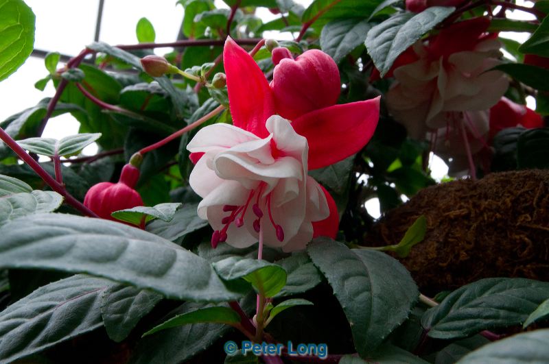 dsc_5769.jpg