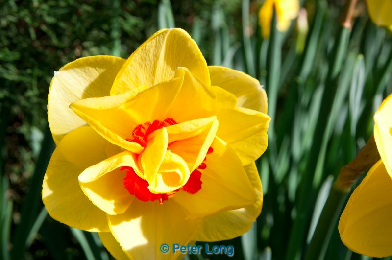 dsc_7765.jpg