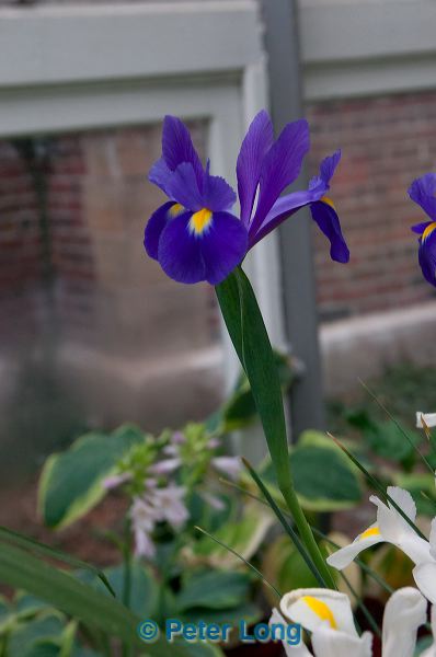 dsc_8703.jpg
