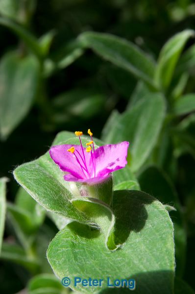 dsc_9625.jpg