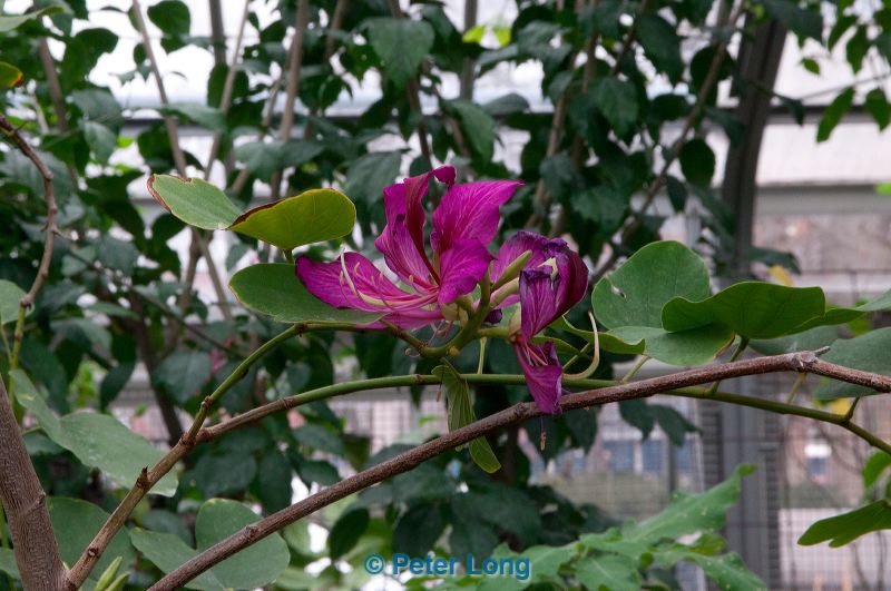 dsc_5778.jpg