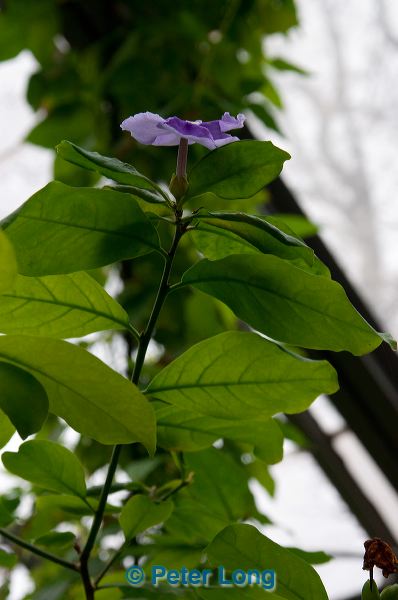 dsc_8696.jpg