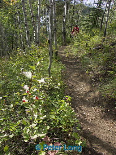0014328_p1556.jpg