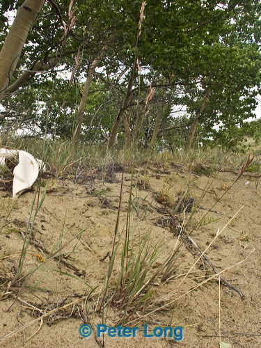 pict9607.jpg
