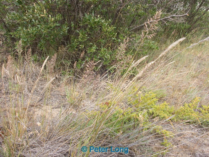 pict9615.jpg