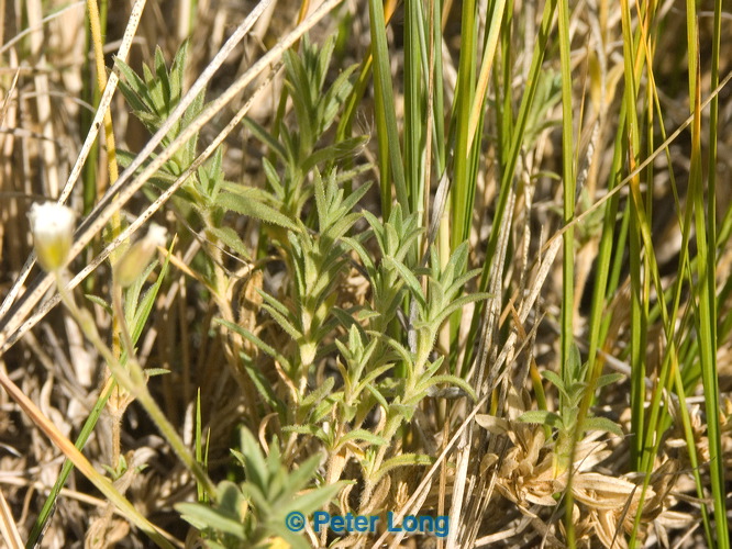 pict9906.jpg