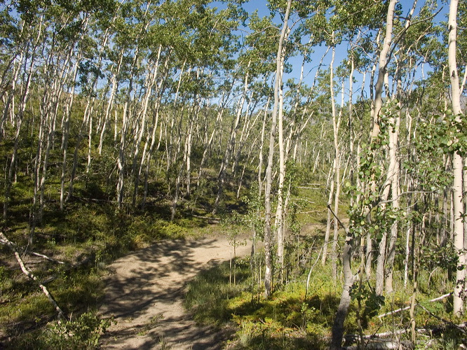 pict9783.jpg