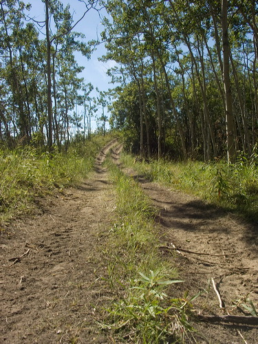 pict9798.jpg