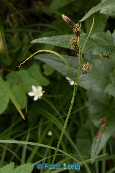dsc_6895.jpg