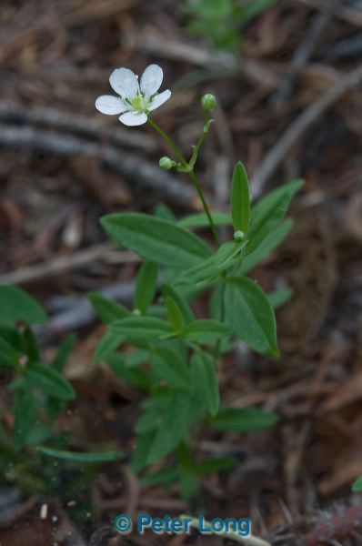dsc_8121.jpg