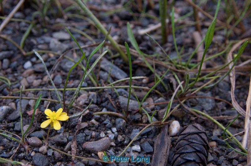 dsc_5914.jpg
