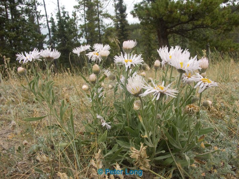 pict0810.jpg