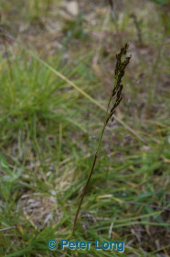 dsc_4443.jpg