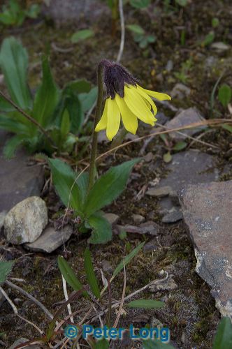dsc_5796.jpg