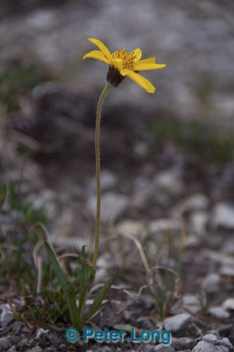 dsc_5955.jpg